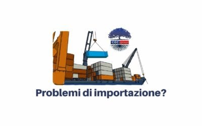 Problemi di importazione? Ti aiutiamo
