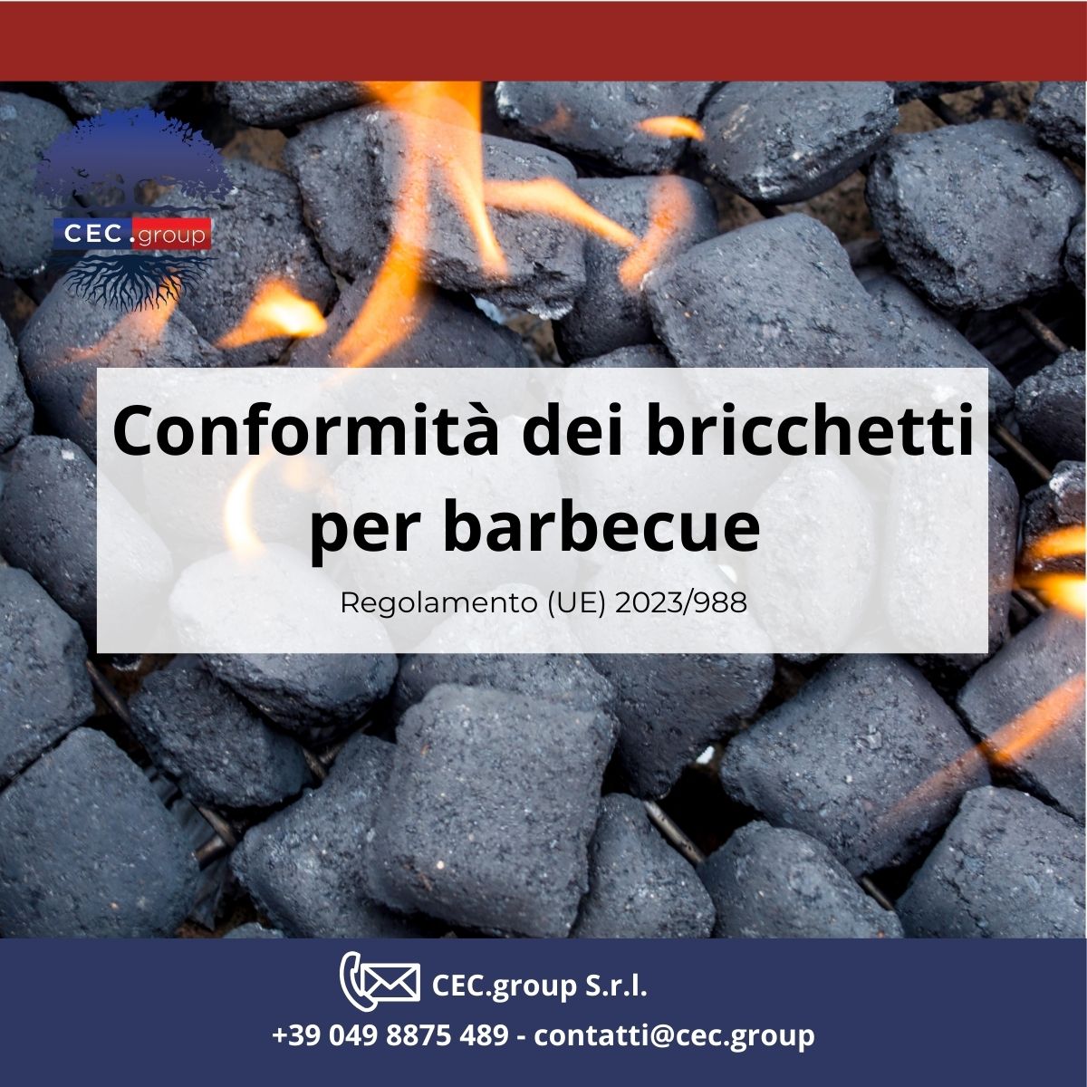 conformità dei bricchetti per barbecue